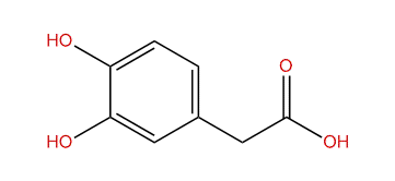 2-(3,4-Dihydroxyphenyl)-acetic acid